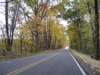 Fall colors in South Bend